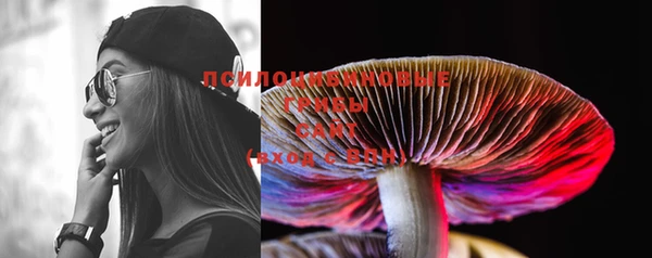 PSILOCYBIN Горно-Алтайск