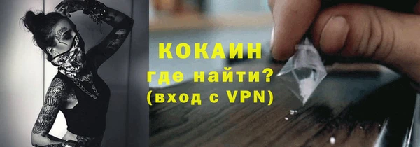 гидра Володарск