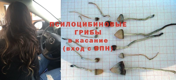 мдпв Вязники