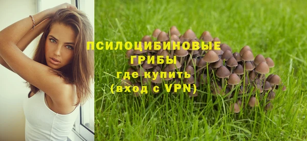 мдпв Вязники