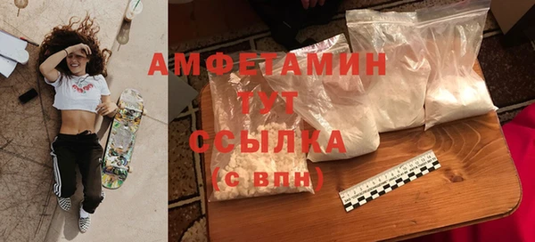 PSILOCYBIN Горняк