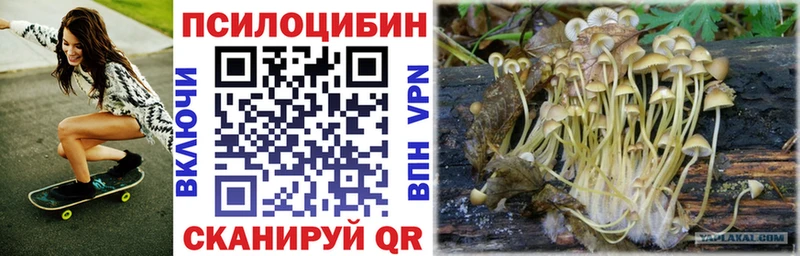 купить наркотики цена  Артём  Псилоцибиновые грибы ЛСД 